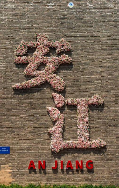 特校少年参赛,“最美手语老师”架起沟通之桥